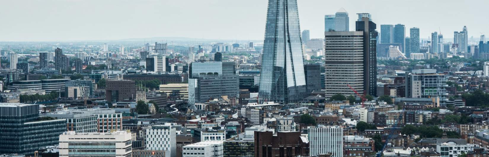 Regional Property Consultancy